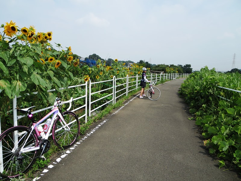 c0214259_20524920.jpg