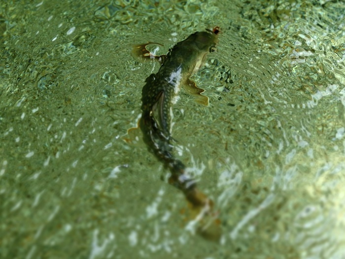 e0212759_21365160.jpg