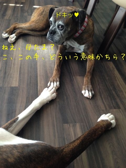 f0177261_1127638.jpg