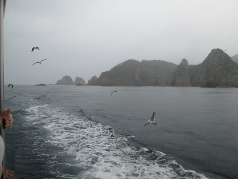 d0029363_323044.jpg