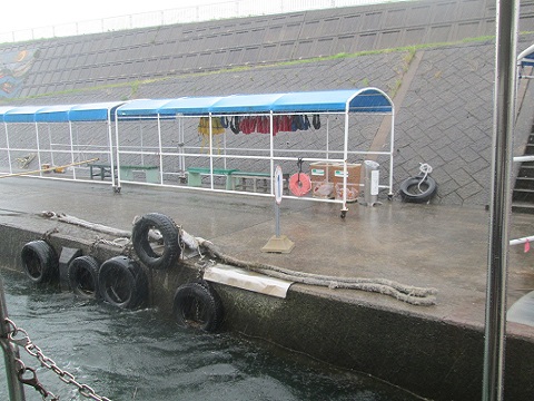 d0029363_324152.jpg