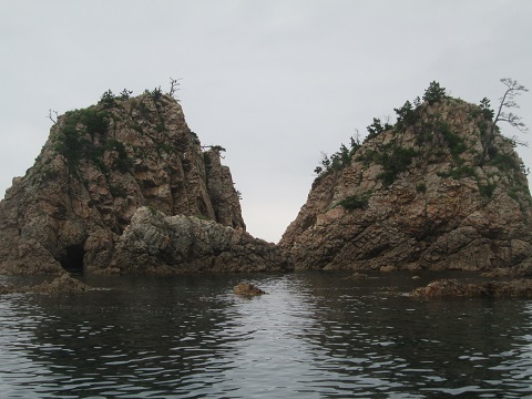 d0029363_32852.jpg