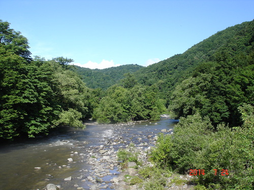 d0165378_10371773.jpg