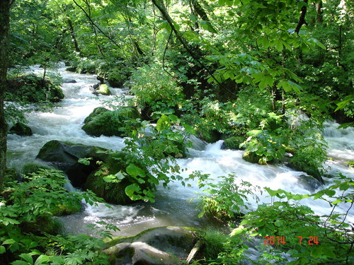 d0165378_1038392.jpg