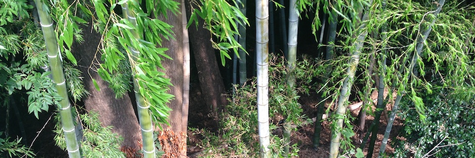 c0170789_16552601.jpg