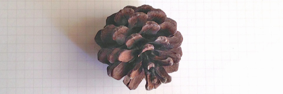 c0170789_16555554.jpg