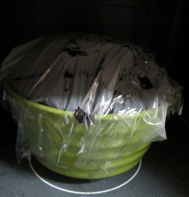 a0027290_21552577.jpg