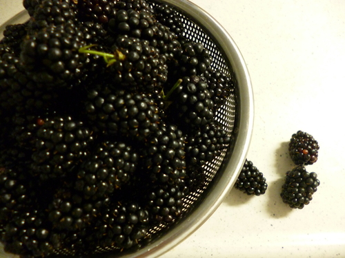a0309391_23201326.jpg