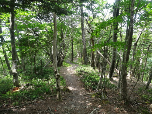d0212491_1745959.jpg