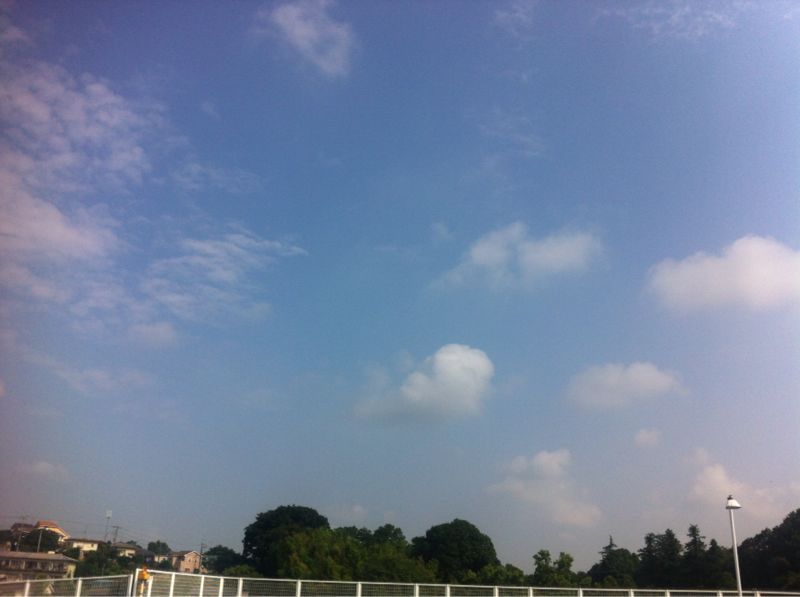 d0135694_012166.jpg