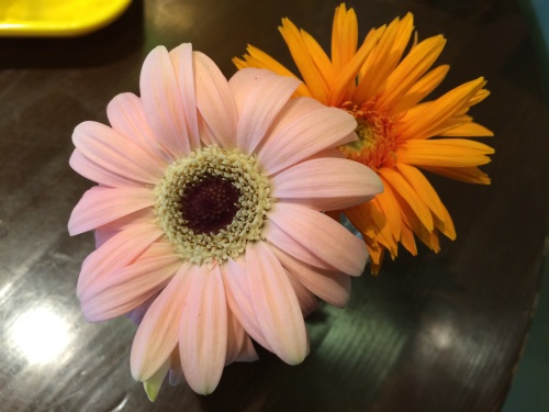 f0201297_18102547.jpg
