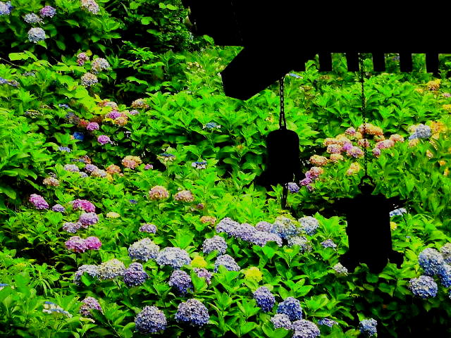 c0054498_044588.jpg