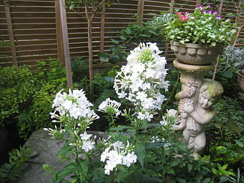 d0046702_714950.jpg