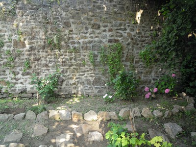 e0206902_618569.jpg