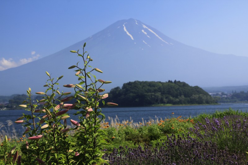 a0188405_11483320.jpg
