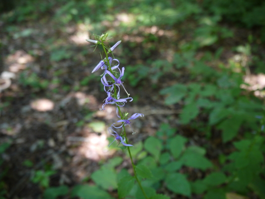 e0205713_2218288.jpg