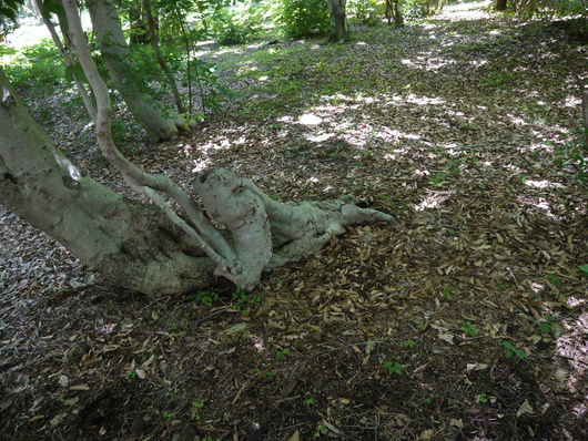e0205713_22412936.jpg