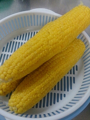 b0204719_3214652.jpg
