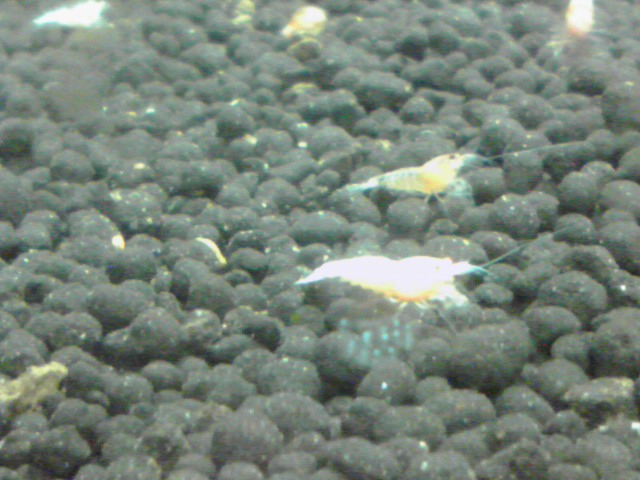 a0291521_15464793.jpg