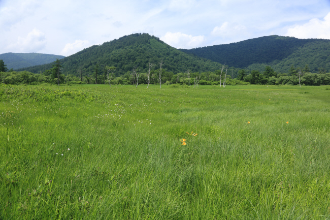f0017530_239533.jpg