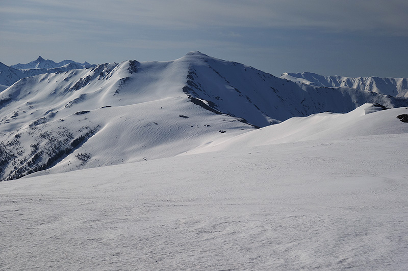 c0313231_12529100.jpg