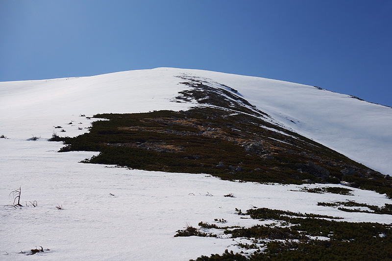 c0313231_132349.jpg