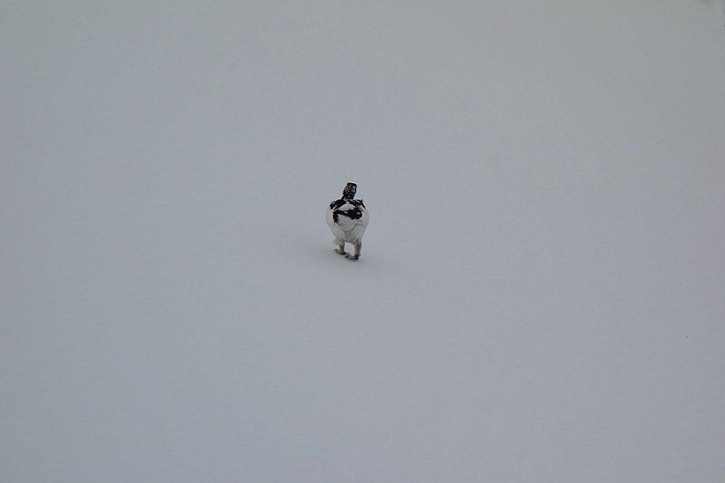 c0313231_1333469.jpg