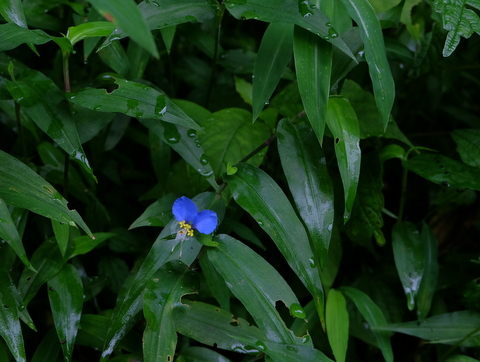 b0281732_2231166.jpg