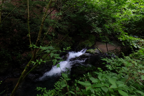 b0281732_22312332.jpg