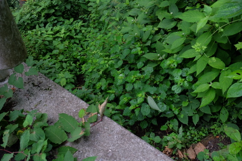 b0281732_22334740.jpg