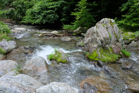 b0281732_2233842.jpg