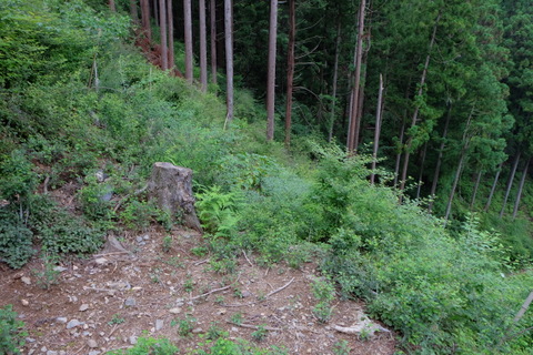 b0281732_22352784.jpg