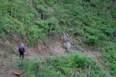 b0281732_22353860.jpg