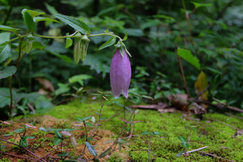 b0281732_2384245.jpg