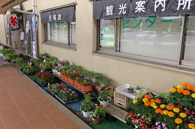 a0242438_1928187.jpg