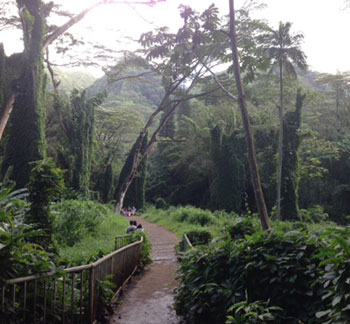 c0196240_14500364.jpg