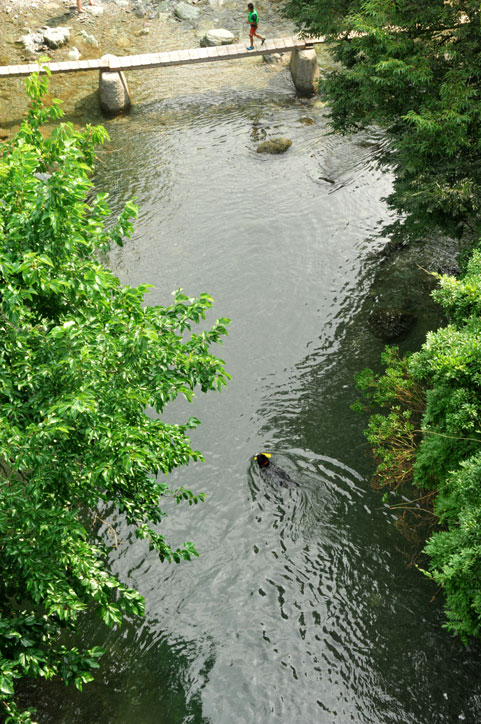 b0075541_144435100.jpg