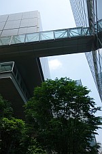 e0080345_08021689.jpg