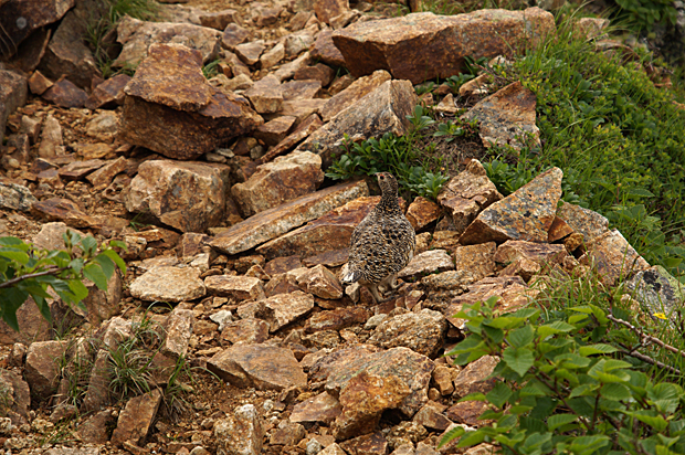 f0214649_151406.jpg