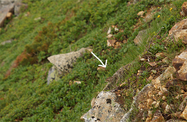 f0214649_1517165.jpg