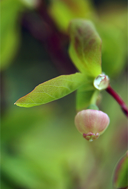 f0214649_328243.jpg
