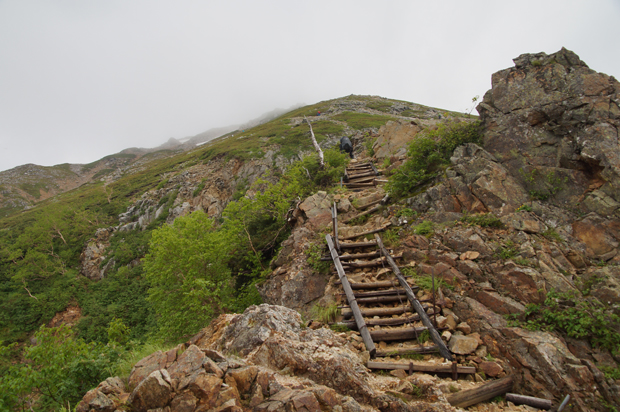 f0214649_4535784.jpg