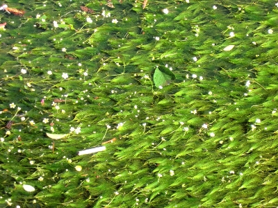 d0138650_16323966.jpg