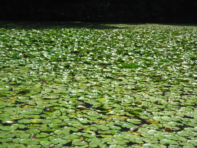 e0271461_2047376.jpg