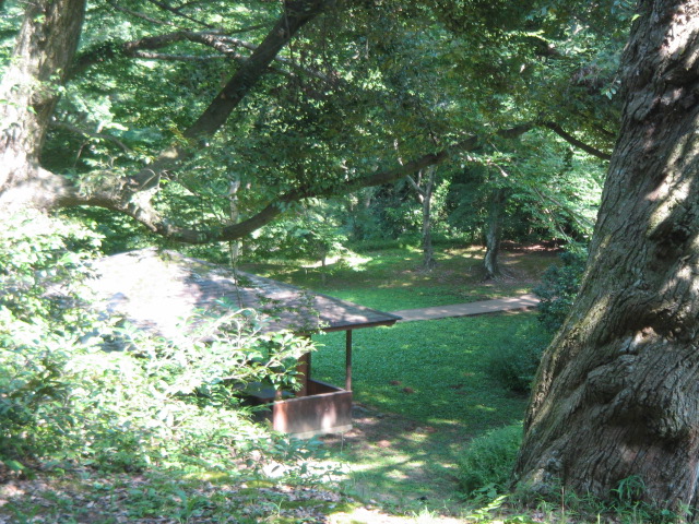 e0271461_20542144.jpg