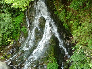e0298866_0251847.jpg