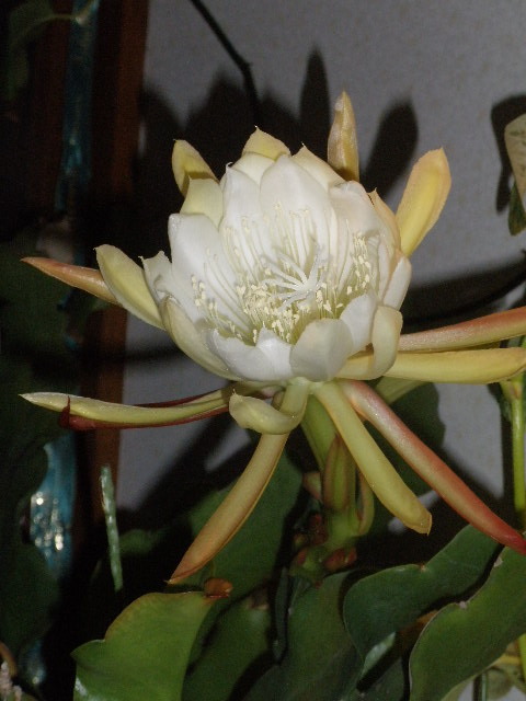 d0150967_092038.jpg