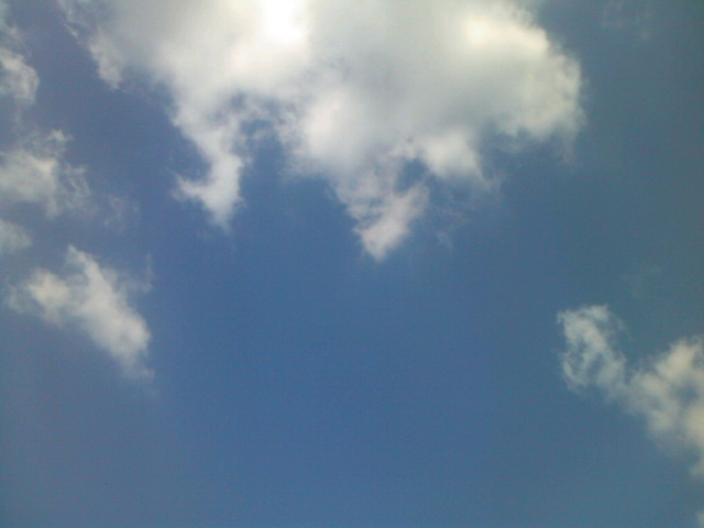 f0061067_17301171.jpg