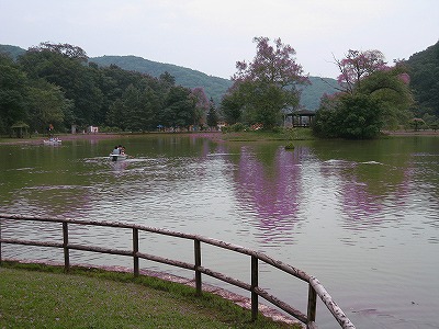 b0171771_04433793.jpg