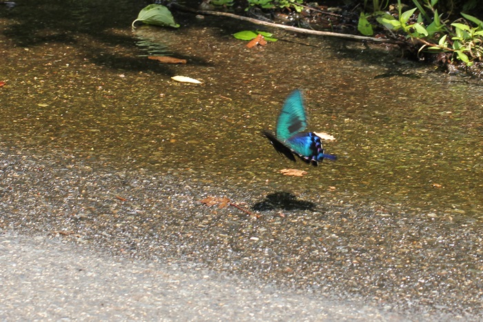 b0088772_192910100.jpg
